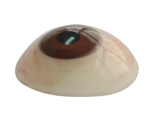 梧州微雕义眼定制